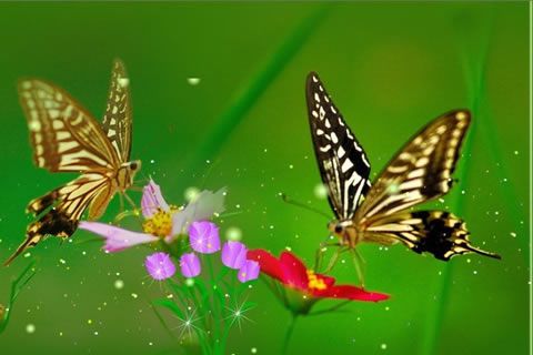 付出就是成功的根源