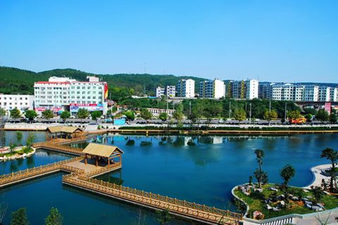 『隨華全，觀天下』 ——走進荊門