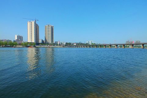 『隨華全，觀天下』 ——走進河南內鄉