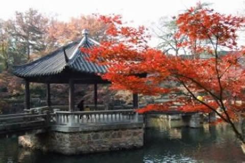 【隨華全 觀天下】 ——風雅常熟，我們一起感動！