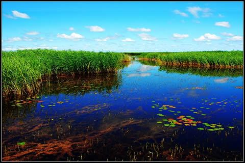 大功率機組一下子購兩臺，這家公司真的夠“豪氣”！