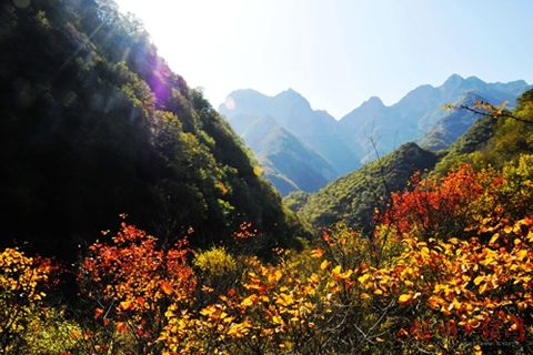 打鐵還需自身硬！柴油發電機組挺近“鍛造之鄉”