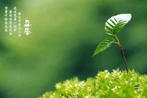 昨夜伴春回！華全發(fā)電機(jī)組2月4日盛裝營(yíng)業(yè)