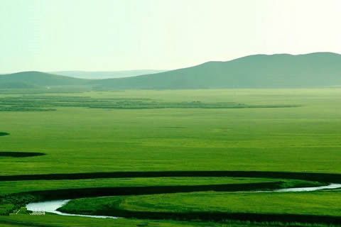 與草原有約！華全發(fā)電機組急赴“世界最美草原”