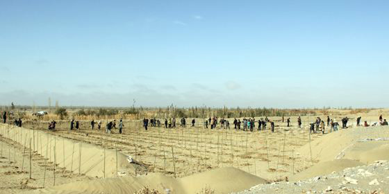 華全發電機組：新疆放大招，預將百萬畝沙漠變綠洲